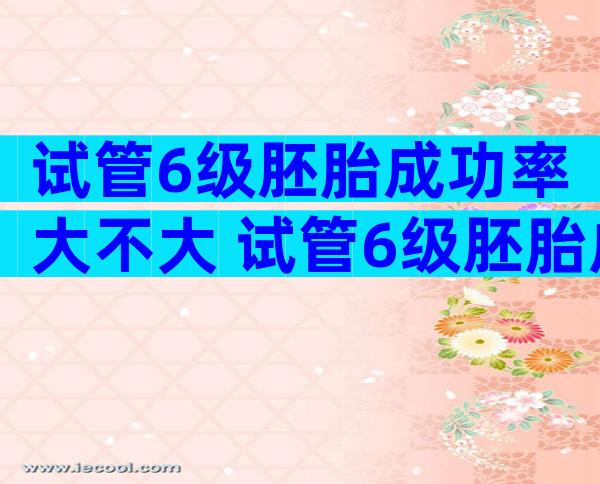 试管6级胚胎成功率大不大 试管6级胚胎成功率大不大呢